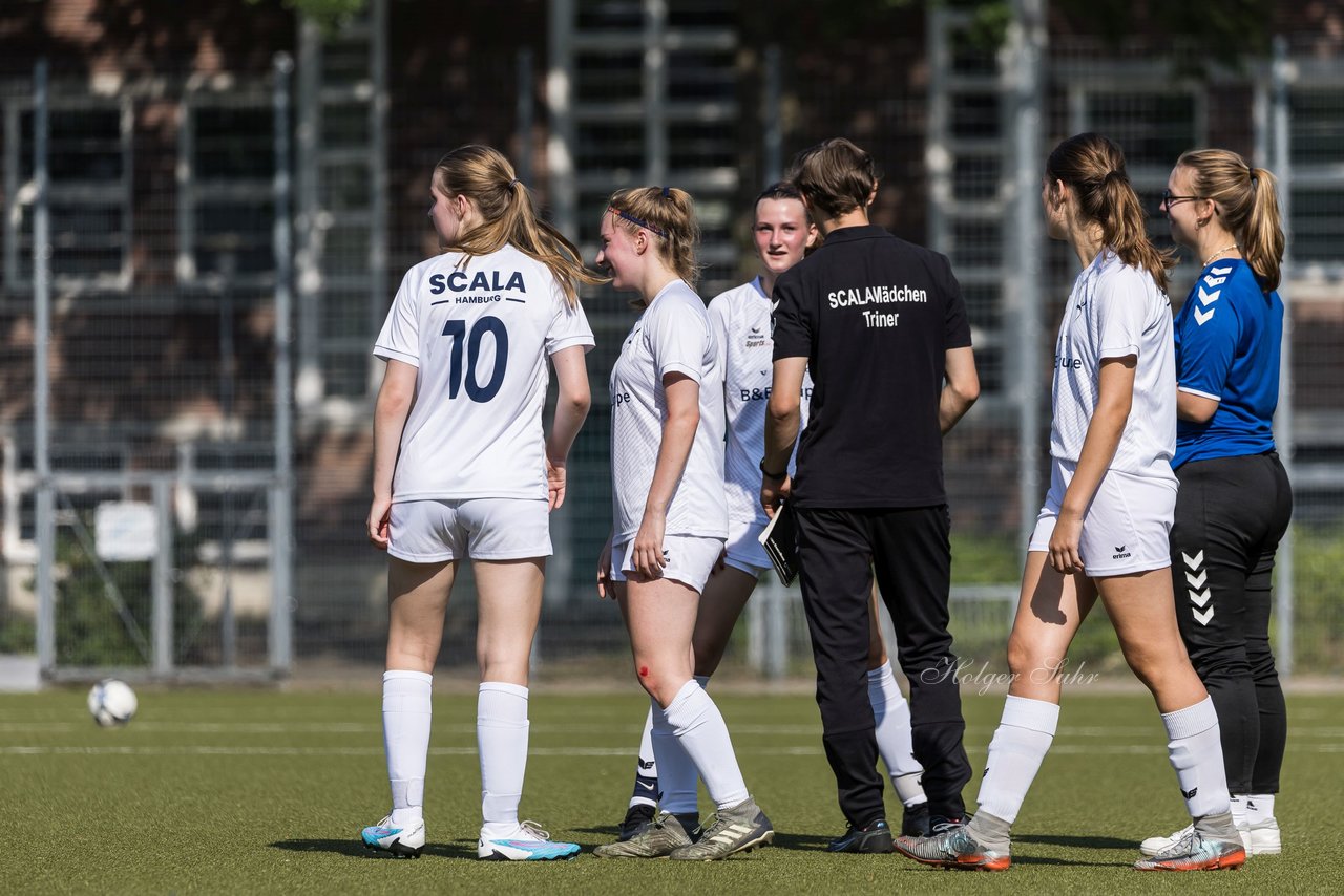 Bild 256 - wBJ Alstertal-Langenhorn - SV Henstedt-Ulzburg : Ergebnis: 4:1